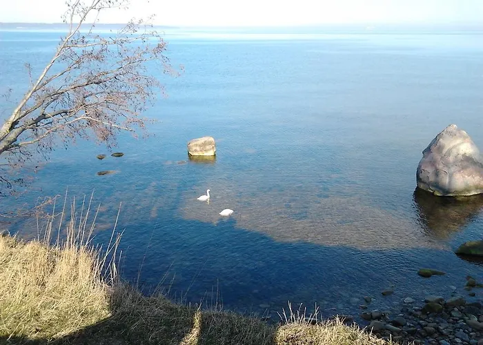 Oti ゲストハウス *