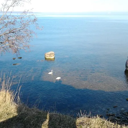 Oti Πανσιόν *